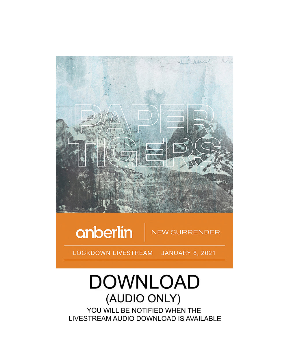 Anberlin Paper Tigers Vinyl