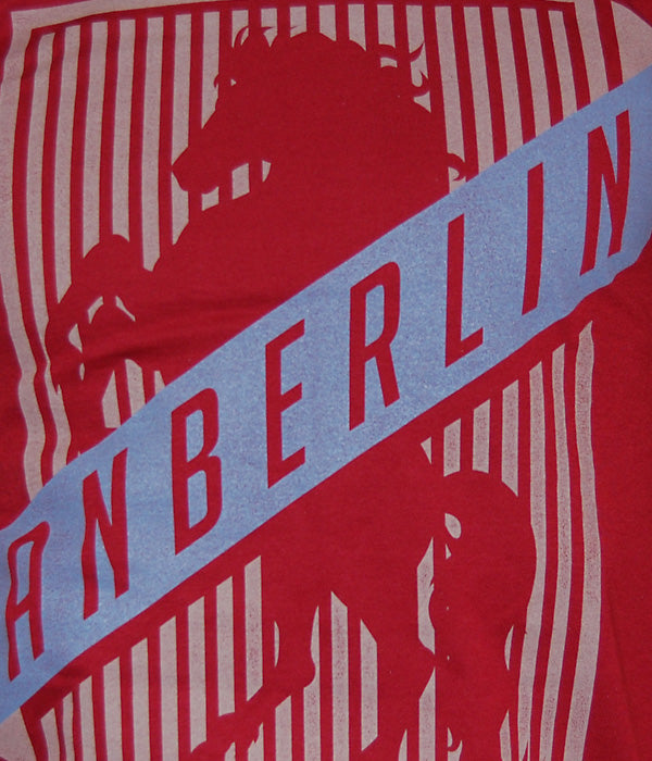 Anberlin Shield Shirt